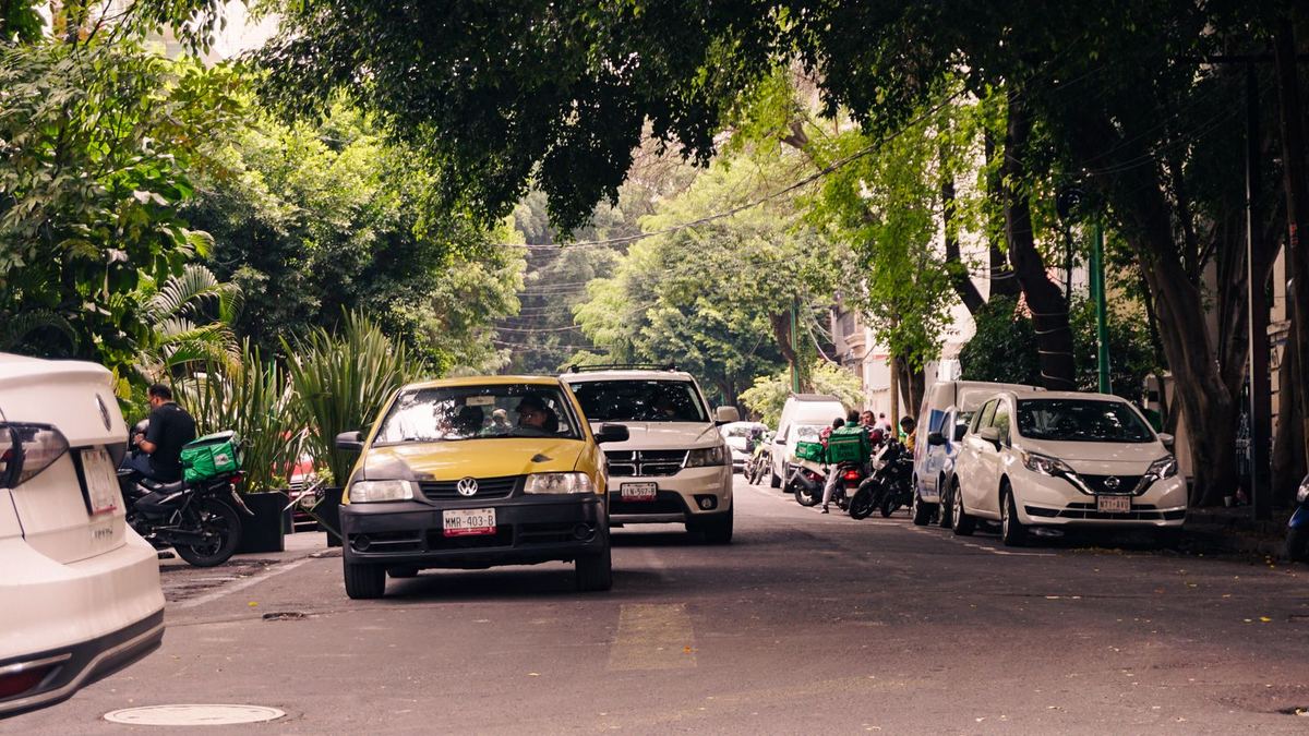 Calle arbolada en Ciudad de México
